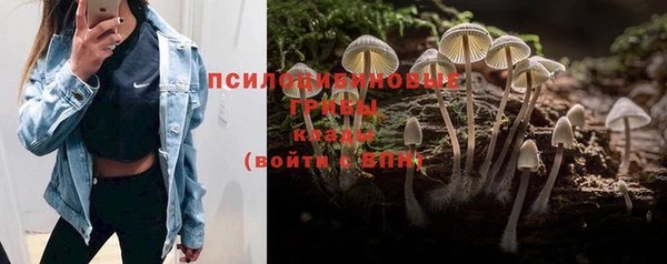 эйфоретик Абдулино