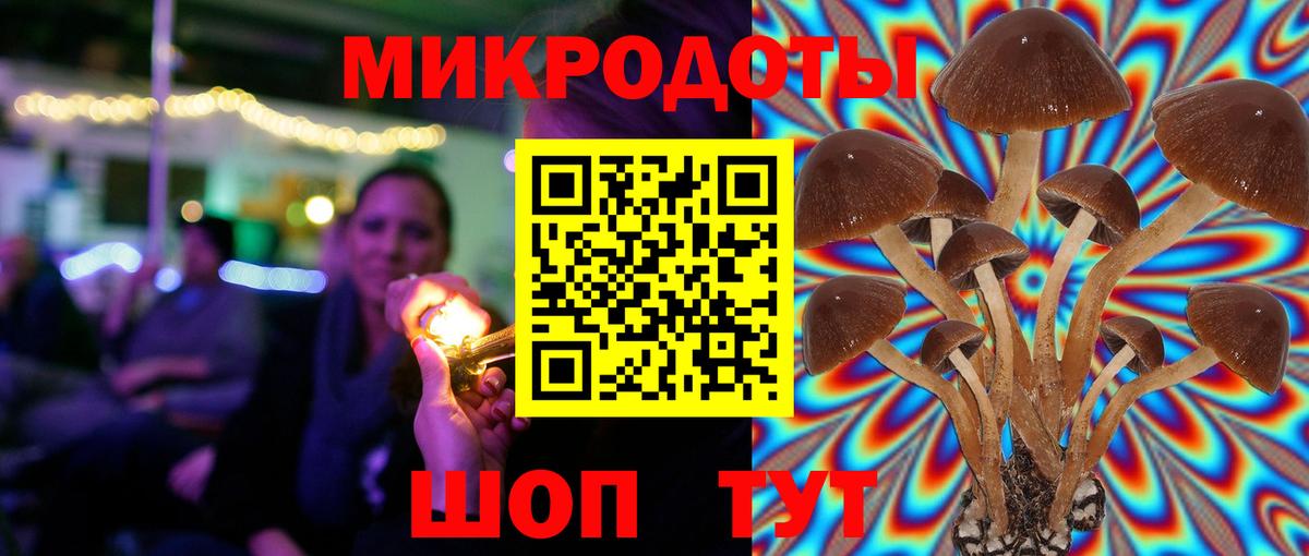 Псилоцибиновые грибы Cubensis Лангепас